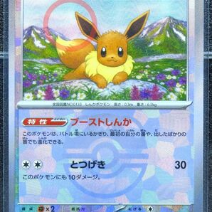 イーブイ マスターボールミラー SV8a テラスタルフェスex ポケカ ポケモンカード