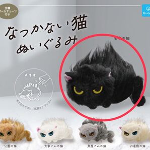 なつかない猫 ぬいぐるみ ガチャ 実家の猫 ガチャ