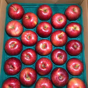 秋田県 横手市産 りんご シナノスイート 23個