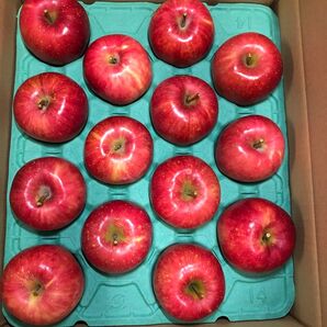 秋田県 横手市産 早生ふじ 昂林(こうりん) 14個