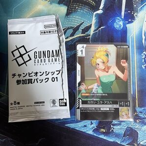 カガリ・ユラ・アスハ チャンピオンシップ参加者パック01