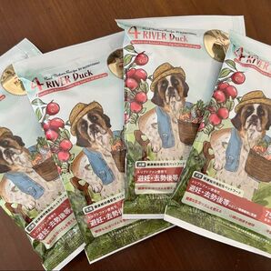 リアルネイチャーレシピ No.4 リバーダック ドッグフード 60g /4袋