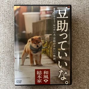 和風総本家 豆助っていいな。 DVD 豆柴