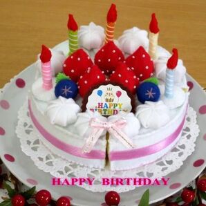 フェルト ままごと お誕生日苺ホールケーキ ろうそく5本 出産祝 誕生祝 お返し 知恵玩具 クリスマスプレゼント