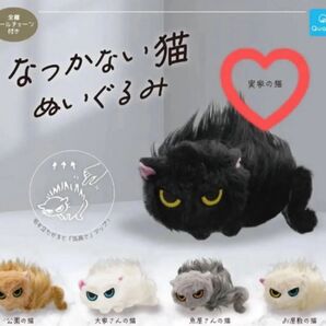 なつかない猫 ぬいぐるみ ガチャ 実家の猫