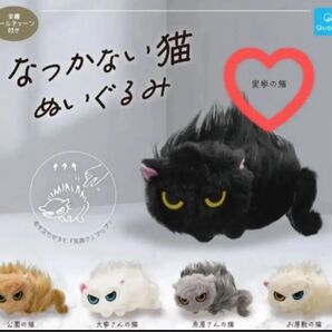 なつかない猫 ぬいぐるみ ガチャ 実家の猫