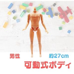 男性 人形 ドール 可動 体 顔なし カスタム 男の子