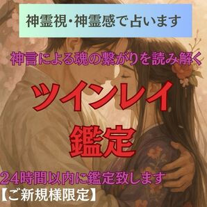 【神霊感霊視】1個売れる毎に値上げ今が最安値ツインレイ・占い・霊視・片想い・復縁・不倫・結婚・縁結び・縁切り・呪い・タロット・魔術