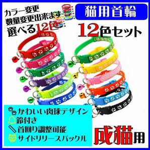 (C89) カラー変更依頼品