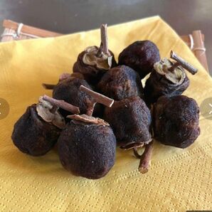 山形県産 干し柿 250g以上×2パック