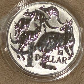 2019年 オーストラリア カンガルー 1オンス銀貨 純銀
