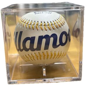 野球 ケース入り ボール