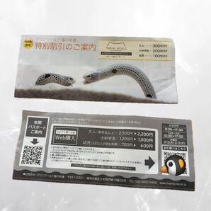 海の中道 マリンワールド 福岡県 水族館 旅行 冬休み イベント 割引券