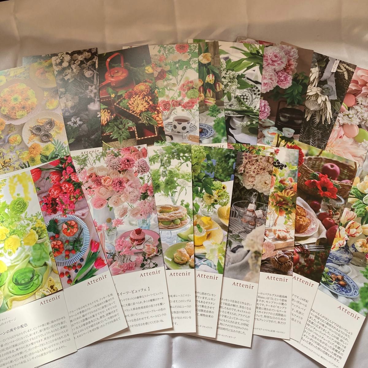 Attenir アテニア ポストカード 1８枚セット まとめ売り 花 植物