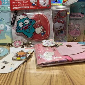 ハローキティ アクリルキーホルダー Sanrio ポーチ ハンギョドン クールマフラー ネックレス ヘアピン