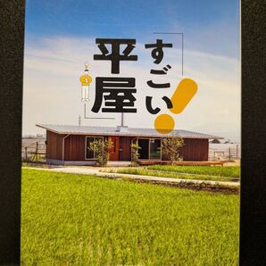 すごい平屋 (美しい住まいと家づくりシリーズ