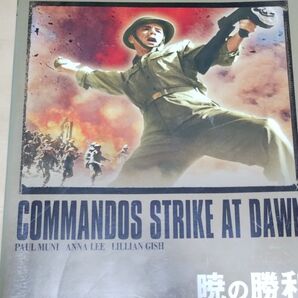 DVD 戦争映画 暁の勝利