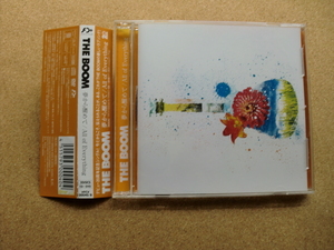 ＊【CD+DVD】THE BOOM／夢から醒めて・/All of Everything（VFCV00040/B）（日本盤）
