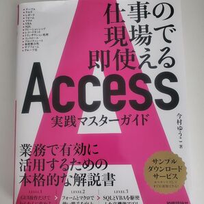 Access 実践マスターガイド