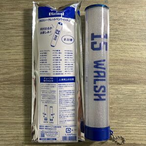 横浜F・マリノス 2025 ペンライトチューブ 15 サンディ ウォルシュ