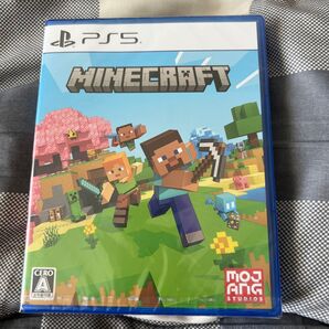 【PS5】 Minecraft (マインクラフト)