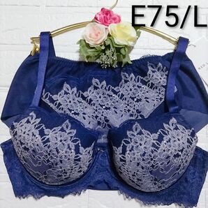 E75・L◆トリンプ◆レッドレーベル バイ トリンプ0110◆ブラ&ショーツ