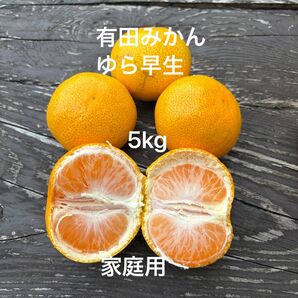 和歌山県産 ご家庭用 有田みかん ゆら早生 5kg