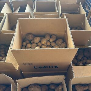 VIA 様 専用 十勝メークイン