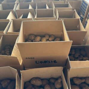 VIA 様 専用 メークイン