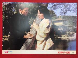 93428『五番町夕霧楼』ロビーカード 水上勉　松坂慶子　奥田瑛二　佐野浅夫　浜木綿子　風吹ジュン　根岸季衣