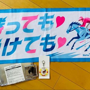 【新品未使用】JRA ウェルカムチャンス ノベルティグッズセット