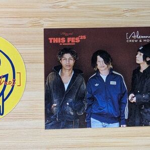 THIS FES'25 ステッカー・カード アレキサンドロス