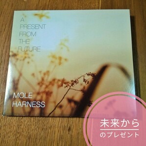 Mole Harness『A Present From The Future』