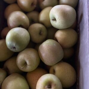 20キロ小さい王林