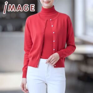 イマージュ image カーディガンとハイネックノースリーブ ニット アンサンブル オフィス着 細めのM