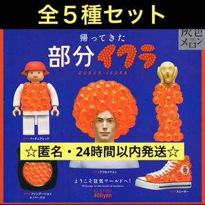 灰色メロン 帰ってきた部分イクラ 全5種セット コンプリート ガチャ