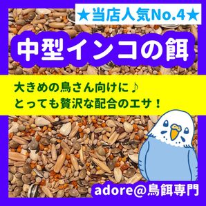 【4番人気商品】贅沢配合 中型インコの餌 800g