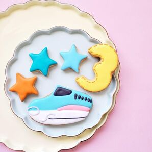 翌日発送可能!はやぶさ新幹線アイシングクッキー