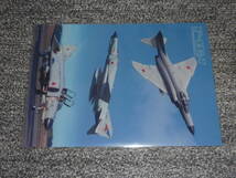 サヨナラ ファントム F-4EJ クリアファイル JASDF PhantomⅡ Ｆ－４ＥＪ 改 Kai ＃391 67-8391 防衛省 航空自衛隊 新品未使用 即決_画像3