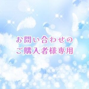 お問い合わせのご購入者様専用
