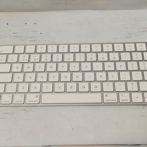 Apple Touch ID搭載Magic Keyboard(Lightning)US配列