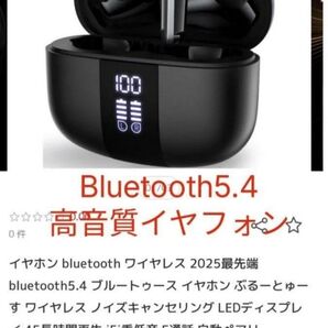 最新版 Bluetooth5.4 ブルートゥース イヤホン ワイヤレス ノイズキャンセリング 45H長時間再生 HiFi重低音 黒