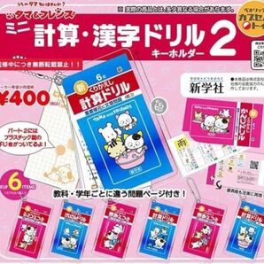 タマフレンズ 計算漢字ドリルキーホルダー2 コンプリート 6種セット ガチャ