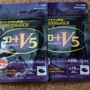 ロートV5 2袋