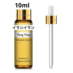 //okaアロマ// ★追加毎に割引あり★100%天然精油 アロマオイル エッセンシャルオイル 精油【イランイラン】