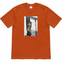 送料無料 L rust Supreme ANTIHERO Balcony Tee シュプリーム アンチヒーロー アンタイ Tシャツ　オレンジ box logo ボックスロゴ 新品_画像1