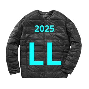 ワークマン リペアテック(R)洗えるフュージョンダウンライトジャケット LL ブラック 新品未使用