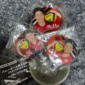 バレーボール男子日本代表 うちわアクリルチャーム 富田将馬 エバデダンラリー 山本智大 新品未開封