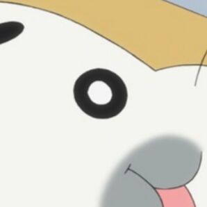 アニメ コミック