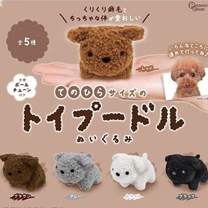 リクエスト品 手のひらサイズぬいぐるみとお菓 子セット